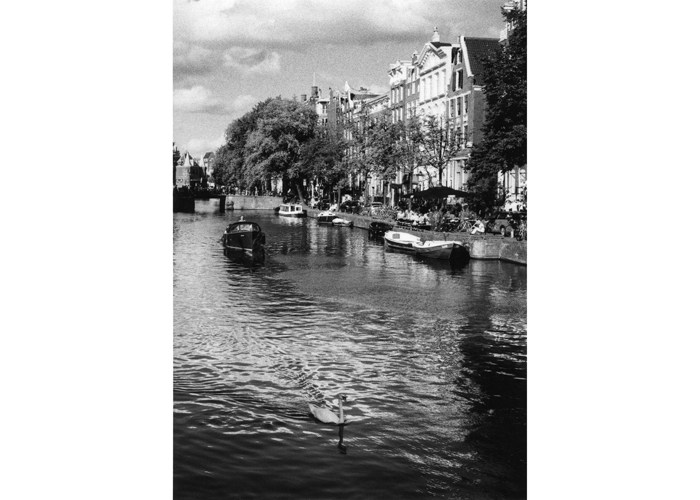 Boat and Swan - Canal Ansterdam