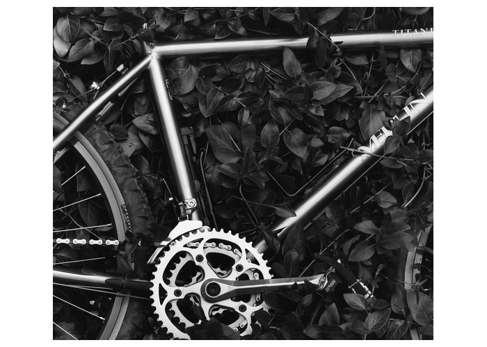 Detail - Titanium Bike in Vinca