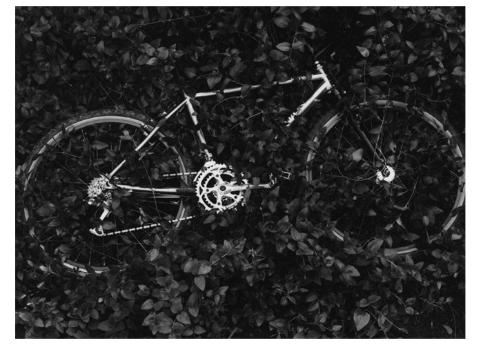 Titainium Bike