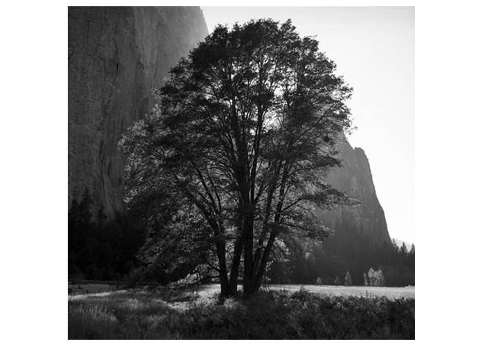 Yosemite Valley Late Afternoon
